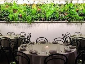餐厅植物墙