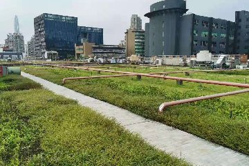 大厦屋顶绿化
