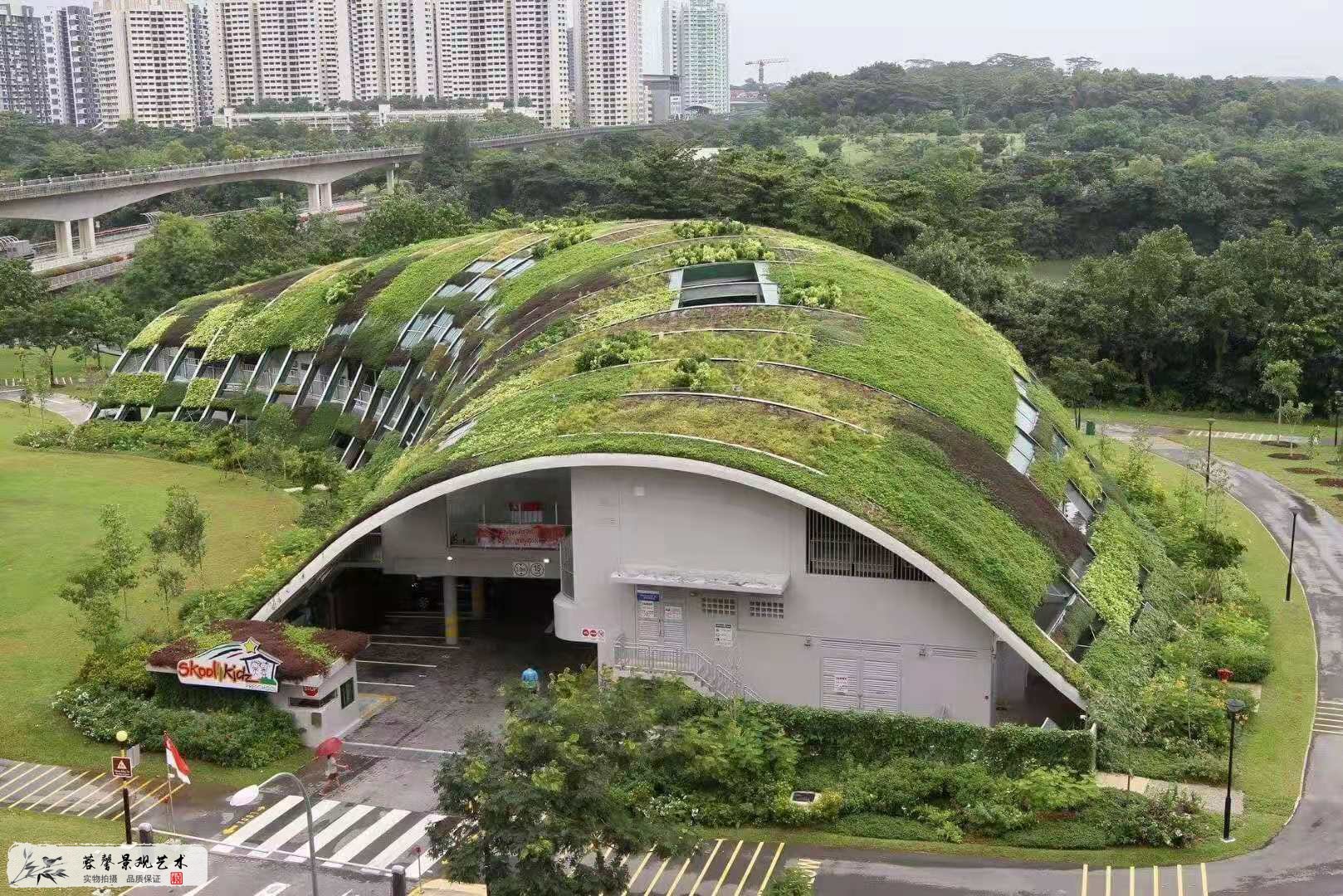 幼儿学前班屋顶绿化
