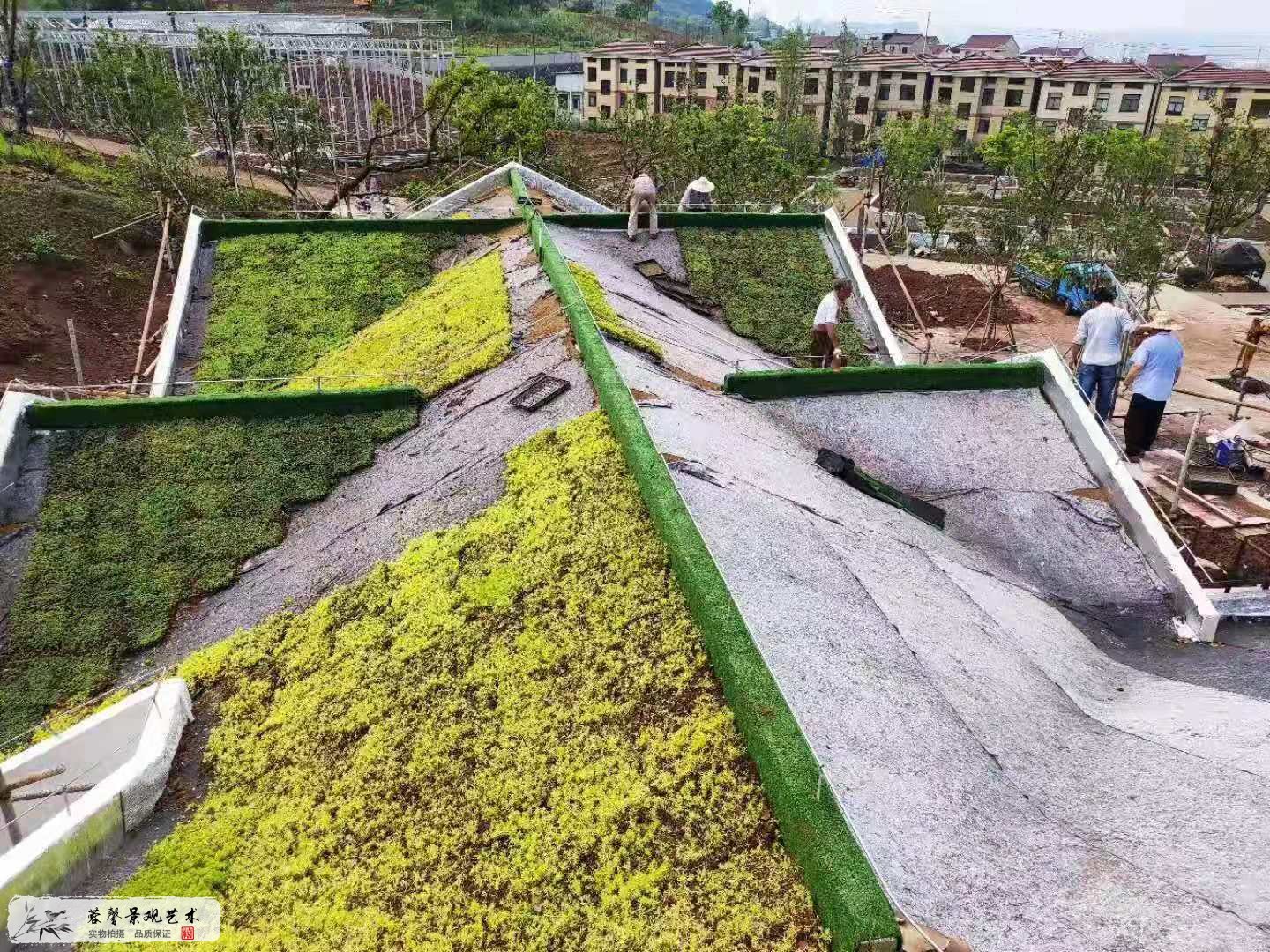 斜坡屋顶绿化