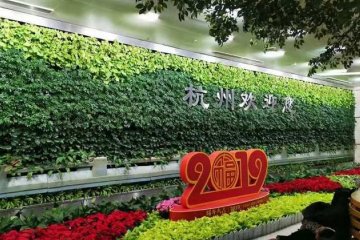 杭州机场植物墙