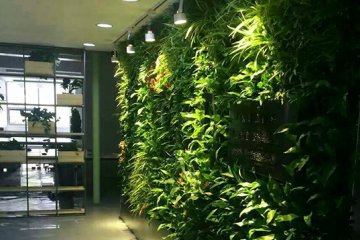 衡量植物墙公司