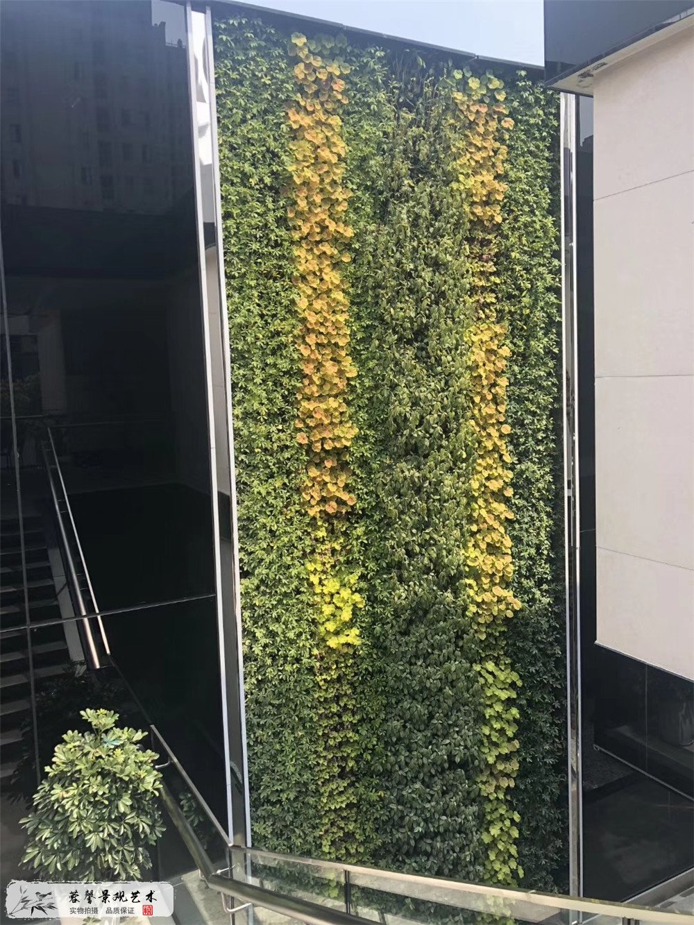 成都垂直绿化，誉峰IPC室外立体植物墙 (2)