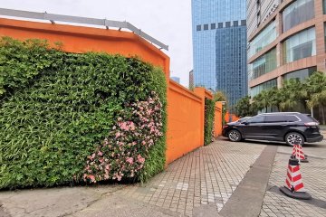 饭店室外围墙植物墙