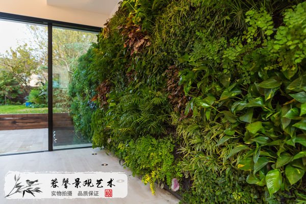 家庭住宅植物墙设计