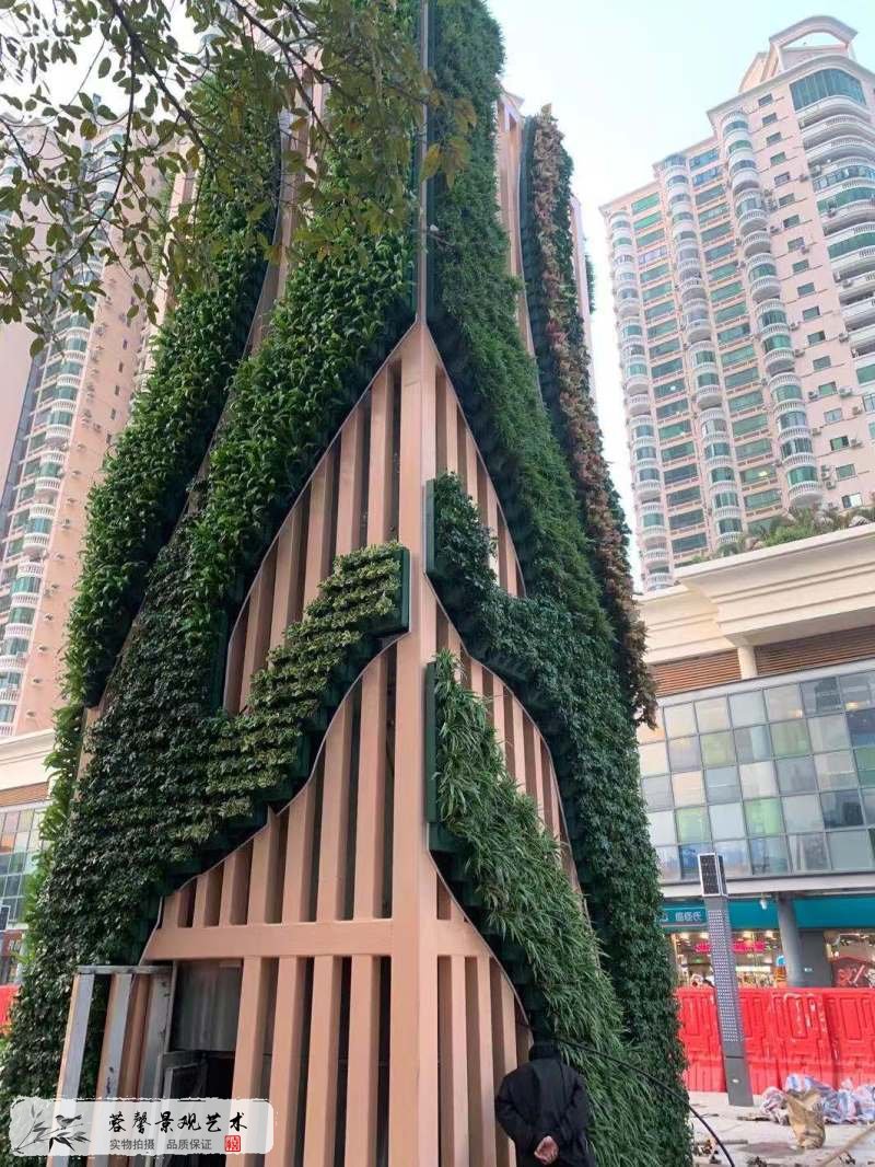 文化广场垂直绿化植物墙