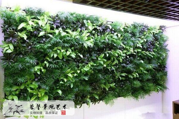 仿真植物墙装饰