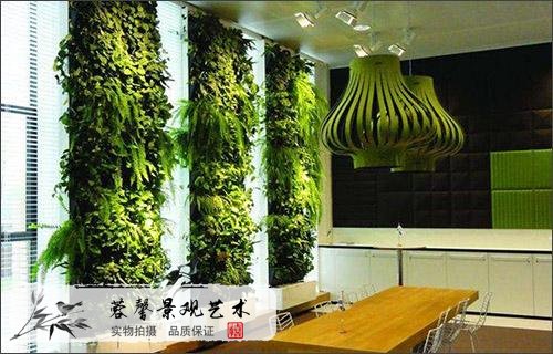 室内植物墙