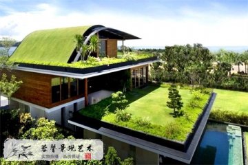 屋顶绿化