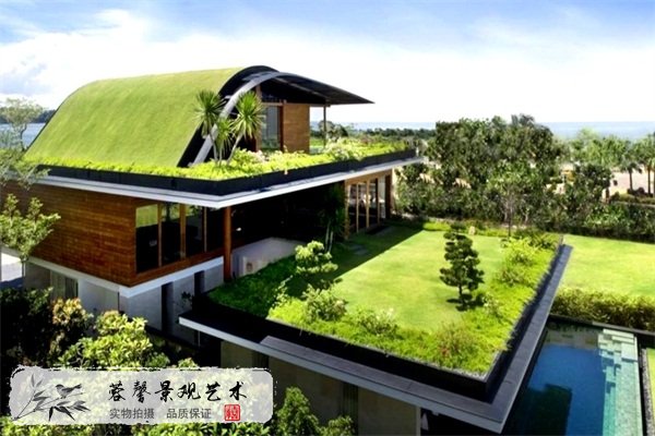 绿色屋顶.jpg