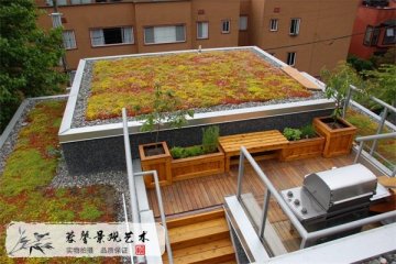 屋顶绿化