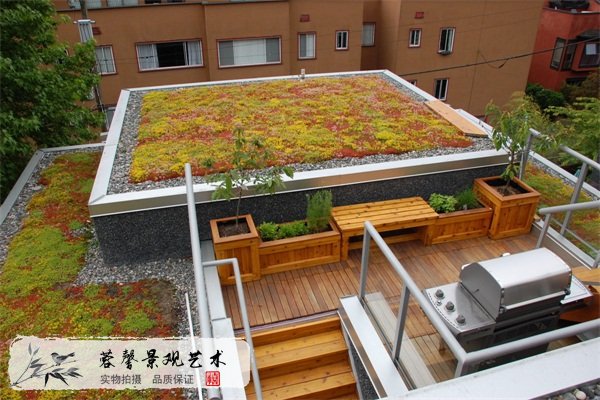 屋顶绿化2.jpg