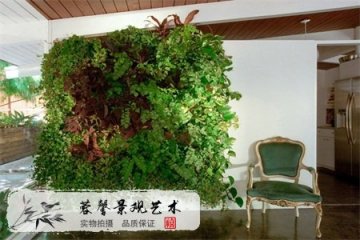 垂直绿化植物